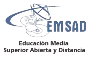 Subsistema EMSAD